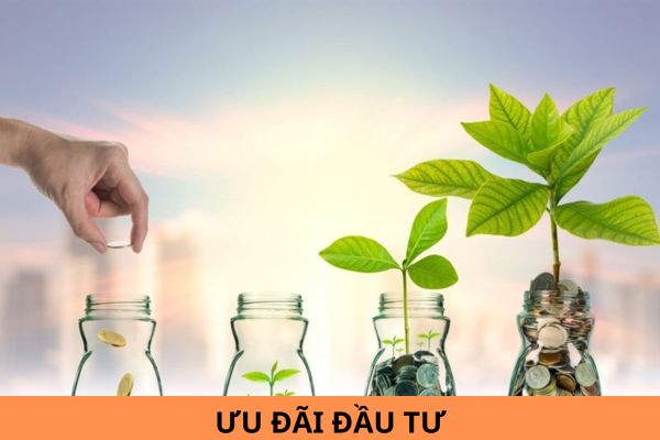 Danh mục ngành nghề được hưởng ưu đãi thuế TNDN năm 2024